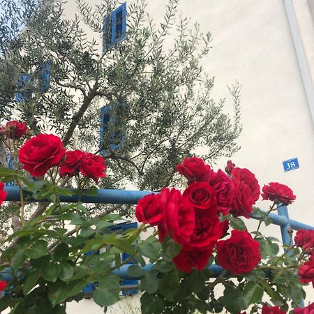 Olive Tree Apartments أوماغ المظهر الخارجي الصورة